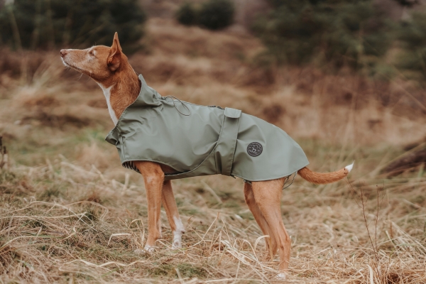 Hunde Regenmantel Milford grün - Mit Reißverschluss für Geschirr